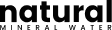 IT Agency